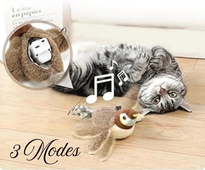 3 Modes - Jouet oiseau interactif Maison Abba
