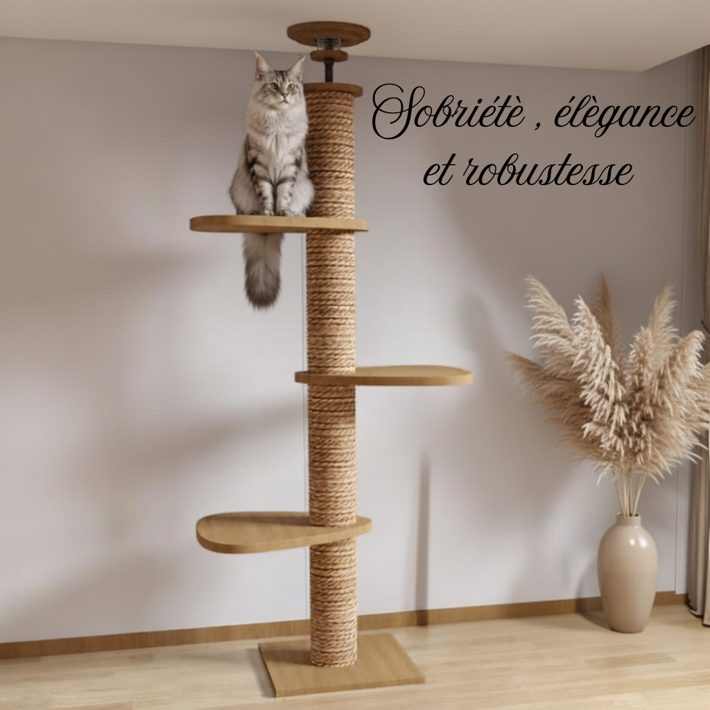 Arbre à chat en bois avec Abba et pampas