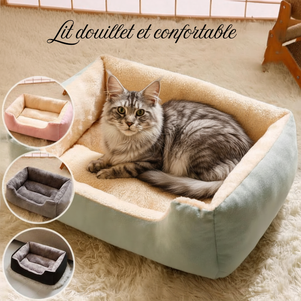 Abba intégré dans le lit douillet — Maison Abba