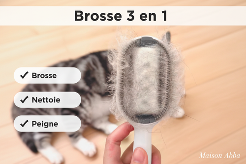 Brosse 3 en 1