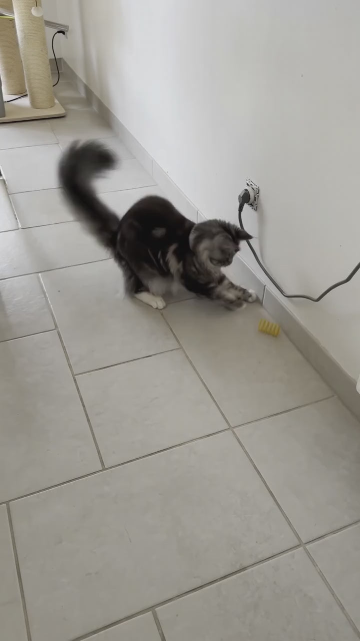 Spirales interactives pour chat — Lot de 4